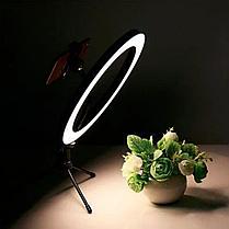 Кольцевая LED лампа /40 см /для съёмки с телефона модель DEX M33, фото 3
