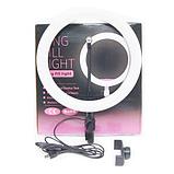 Кольцевая лампа «Ring Fill Light» со штативом для блогеров и beauty-мастеров (26 см), фото 2