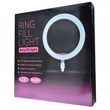 Кольцевая лампа «Ring Fill Light» со штативом для блогеров и beauty-мастеров (26 см), фото 3