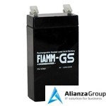 Аккумуляторная батарея Fiamm FG 10381