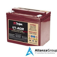 12 Volt Reliant Deep-Cycle AGM Batteries with C-Max Technology