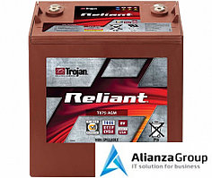 8 Volt Reliant Deep-Cycle AGM Batteries with C-Max Technology