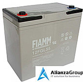 Аккумуляторная батарея Fiamm 12FGL55