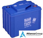 Аккумуляторная батарея Fiamm 12 SLA 80 L