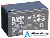 Аккумуляторная батарея Fiamm 12FGH50