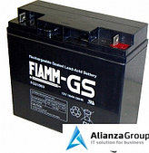 Аккумуляторная батарея Fiamm FG 21803