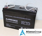 Аккумуляторная батарея Alarm force FB100-12