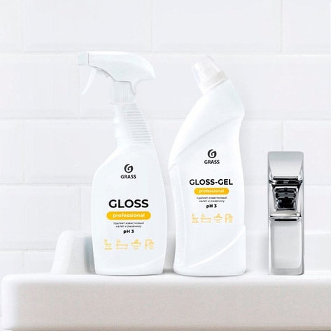 Чистящее средство для санузлов Gloss-Gel Professional, фото 2