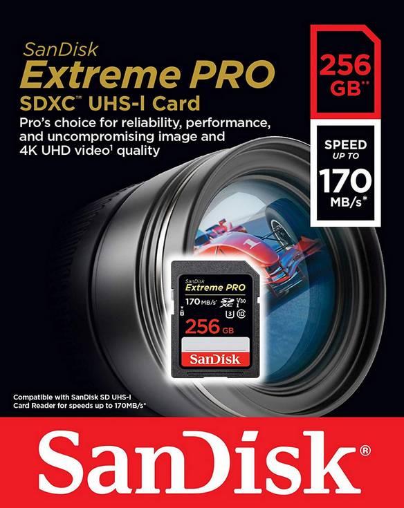 Карта памяти SanDisk EXTREME PRO SD 256GB 170mb/s - фото 1 - id-p54839990