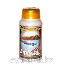 Амла (Amla tab) Shri Ganga, 100 таб.