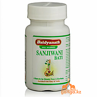 Сандживани вати - противовирусный и антибактериальный препарат (Sanjiwani Bati BAIDYANATH), 80 таб