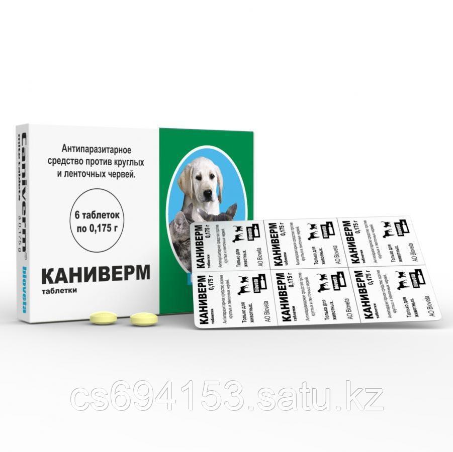 Каниверм, таблетки: Противопаразитарный препарат от круглых червей и ленточных червей
