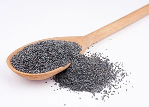 Порно әлемінде бұл үлкен Порнодағы Алена Шишкова