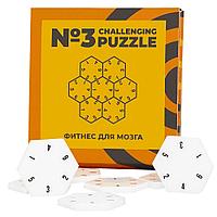 Головоломка Challenging Puzzle Acrylic, модель 3 12107.01 Головоломка Challenging Puzzle Acrylic, модель 3