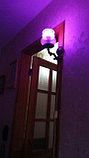Светодиодная цветная RGBW лампа с пультом 7W, фото 7