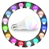 Светодиодная цветная RGBW лампа с пультом 7W, фото 10