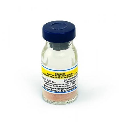 Вакцина против инфекционного бронхита кур из штамма “Н-120” живая сухая, фото 2