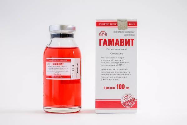 Гамавит 1000мл, фото 2