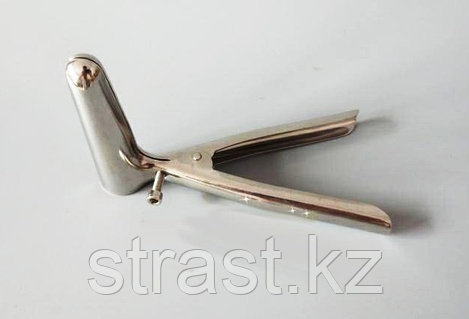 Анастасия Кисигачтың порно пародиялары