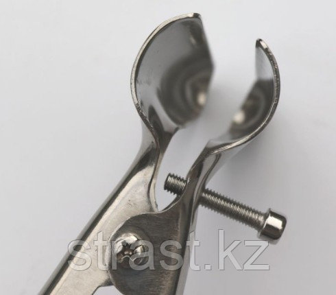 Брежневтің дымқыл кискаға сиынып жатқан фотосы