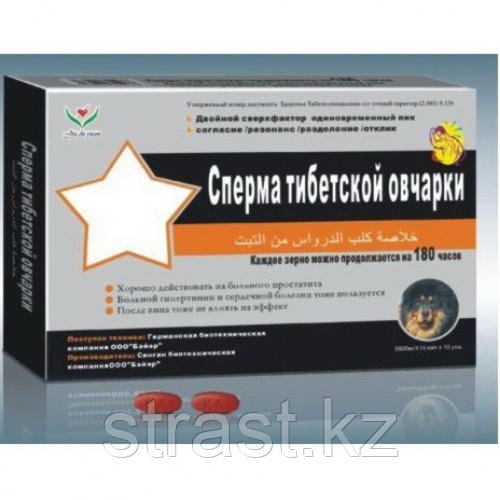 Сперма Тибетской Овчарки
