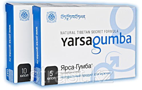 Препарат повышения потенции YarsaGumba (ЯрсаГумба) 5 капсул - фото 1 - id-p79663510