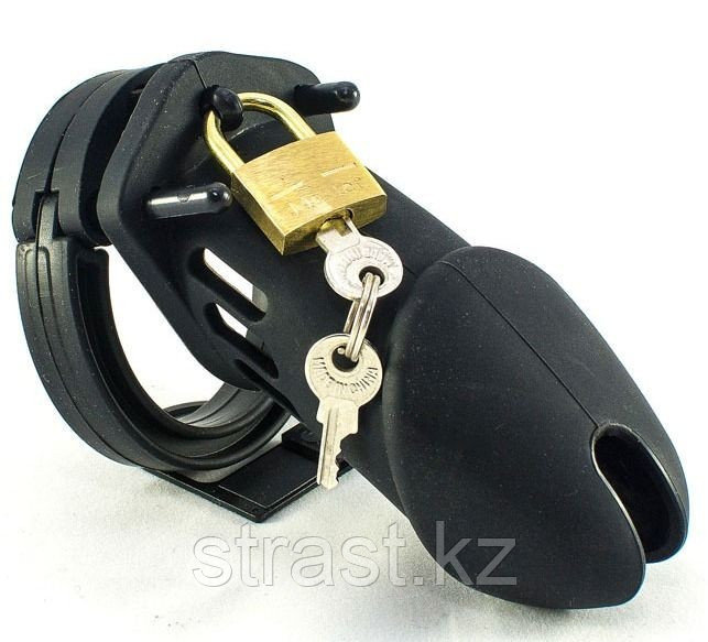 Жастық гей порно