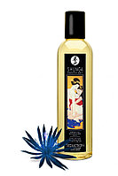 Масло массажное Shunga Seduction Midnight Flower (Ночной цветок) 250 мл