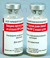 ВАКЦИНА ПРОТИВ РОЖИ СВИНЕЙ из штамма ВР-2 , 10доз