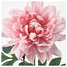 СМИККА Цветок искусственный, Георгин, светло-розовый, 75 см, фото 2