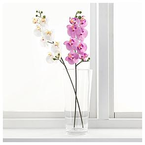 СМИККА Цветок искусственный, Орхидея, белый, 60 см, фото 2
