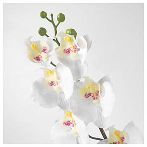 СМИККА Цветок искусственный, Орхидея, белый, 60 см, фото 2