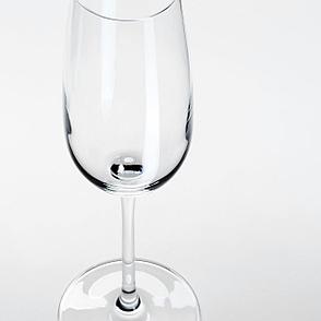 СТОРСИНТ Бокал для шампанского, прозрачное стекло, 22 сл, фото 2