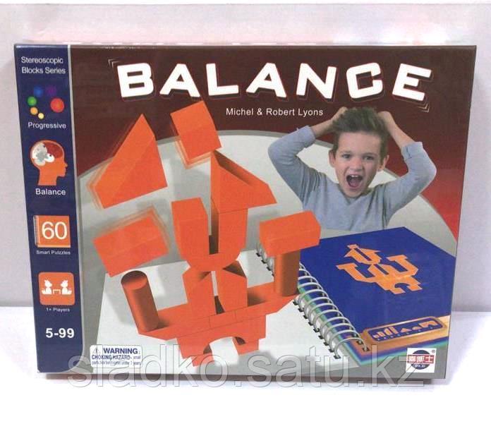 Развивающая игрушка головоломка Balance - фото 1 - id-p79532298
