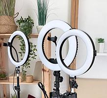 Кольцевая LED Лампа 26 см + Штатив 210 см в комплекте с держателем и шарниром