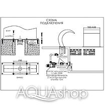 Водопад для бассейна Aquaviva Dolphin AQ-6070 (600х700 мм), фото 2