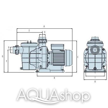 Насос IML America SA125M 21 м3/ч, Н10, фото 2