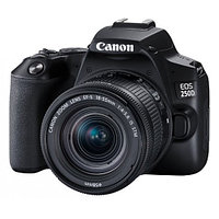 Фотоаппарат Canon 250D kit 18-55mm f/3.5-5.6 III