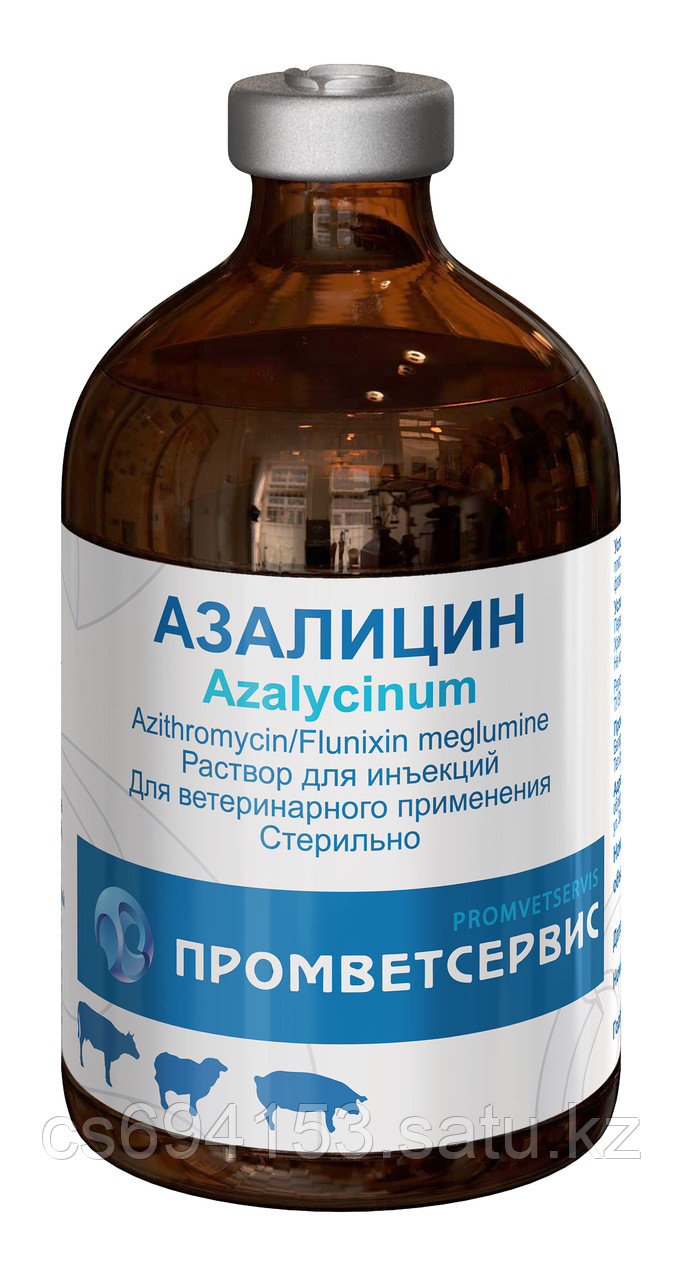 Азалицин: Комплексный антибактериальный препарат с широким спектром противомикробного действия