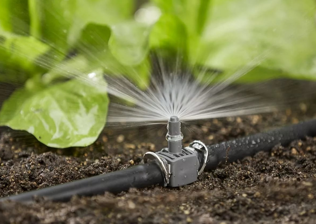 система автоматического полива растений цена