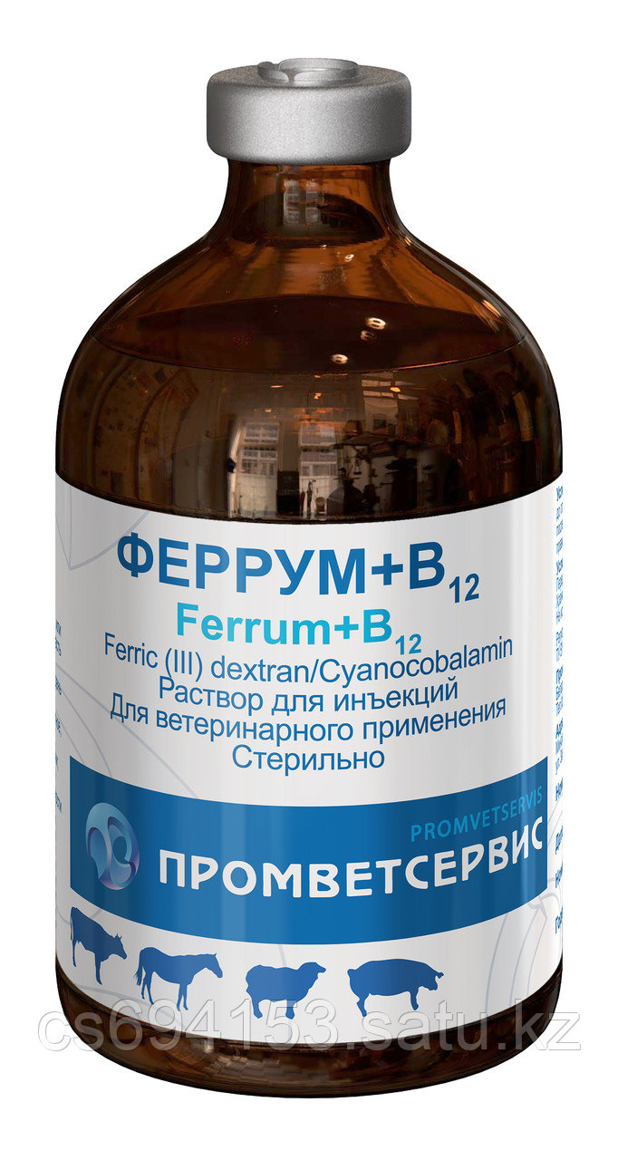 Феррум + В12: Комплексный препарат для профилактики и лечения железодефицитных анемий