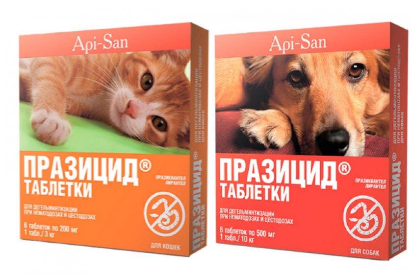 Празицид таблетки  №6 для кошек и собак  антигельминтик