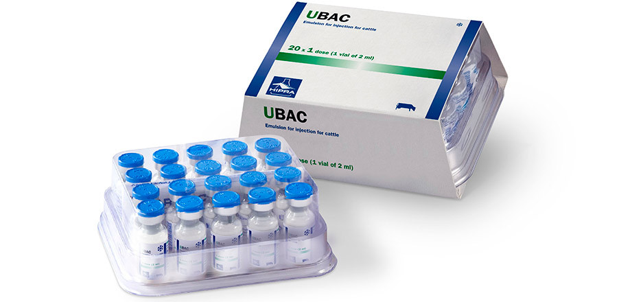 Вакцина от мастита крс UBAKC ( УБАК)