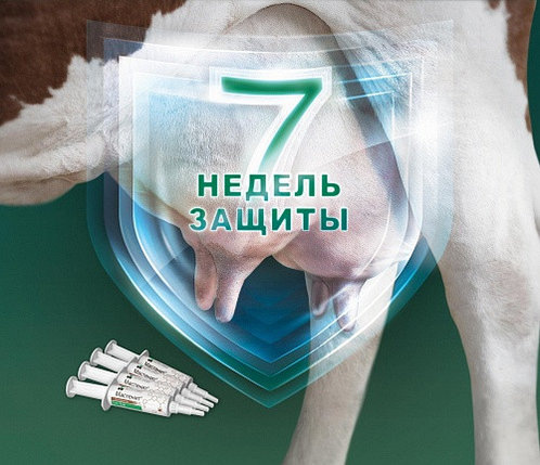 Мастенит 3,6гр ( 600мг клоксацилина) шприц для одномоментного запуска, фото 2