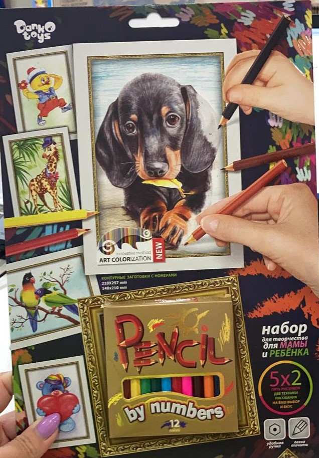 Набор для творчества "Pencil by number Щенок"(20)