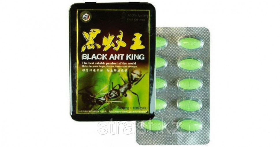 Муравей черный (Black ant king)