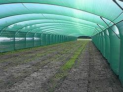 Затеняющая сетка 55 грамм 4 м * 50 м