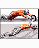 Ролик для пресса гелевый двойной, фото 5