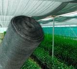 Сетка затеняющая для теплиц 55 грамм, фото 2