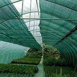 Сетка затеняющая от солнца 80 грамм, фото 7